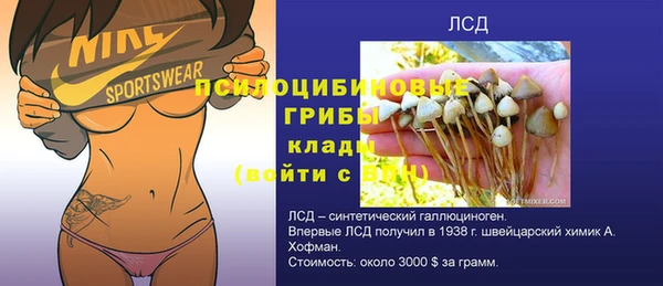 mix Алексин