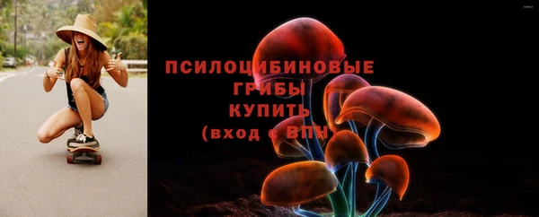спиды Алзамай