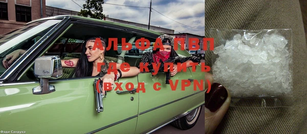 спиды Алзамай