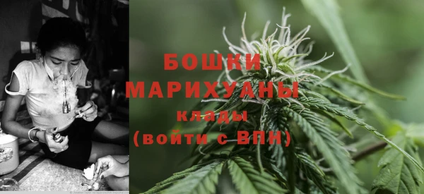 спиды Алзамай