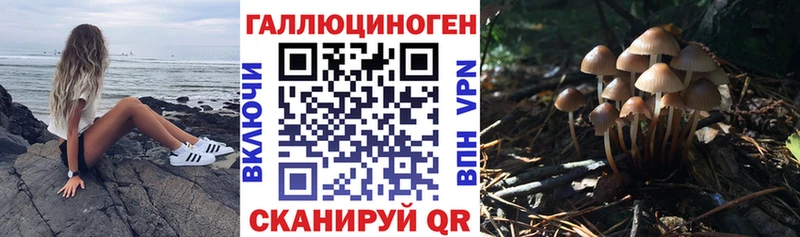 это Telegram  Орск  Галлюциногенные грибы MAGIC MUSHROOMS  цены наркотик 