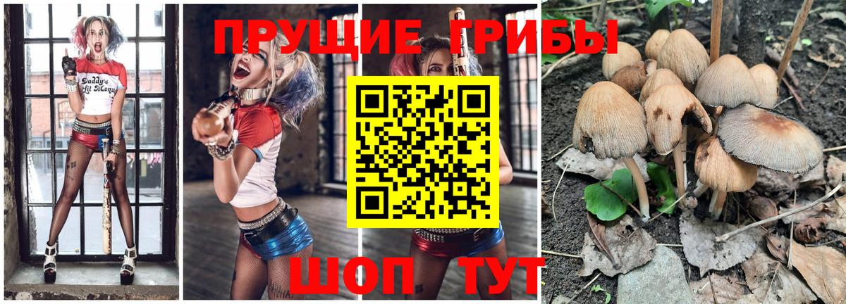 Псилоцибиновые грибы GOLDEN TEACHER Орск