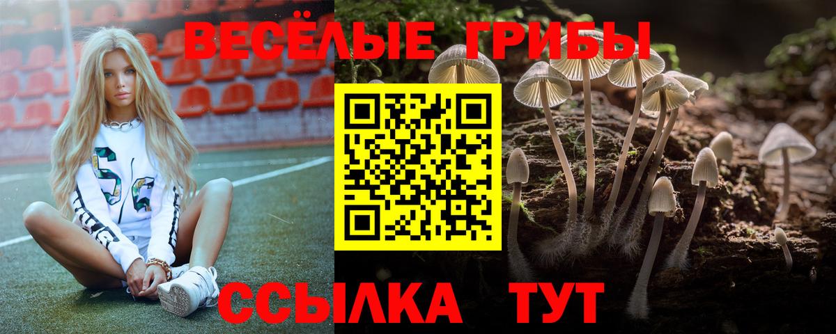 Орск  где продают   Вход с VPN  Галлюциногенные грибы мухоморы 